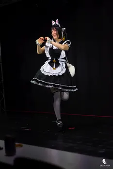 Copyright : Michael Bally